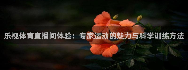 乐视体育直播间体验：专家运动的魅力与科学训练方法