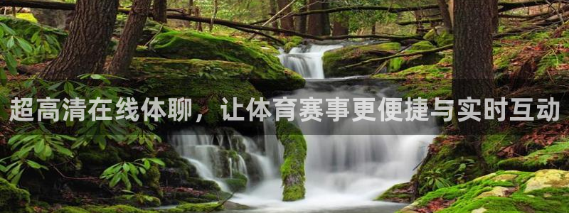超高清在线体聊，让体育赛事更便捷与实时互动