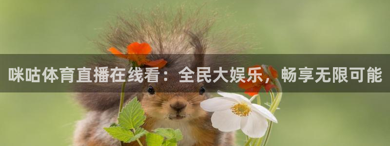 咪咕体育直播在线看：全民大娱乐，畅享无限可能
