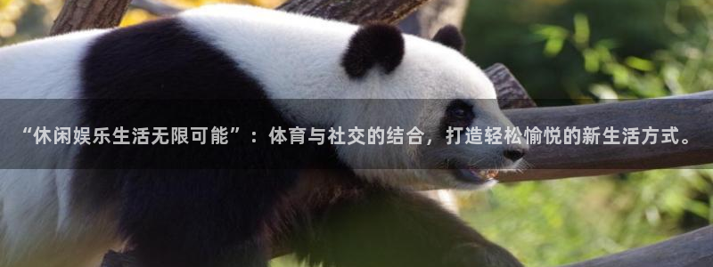 “休闲娱乐生活无限可能”：体育与社交的结合，打造轻松愉悦的新生活方式。