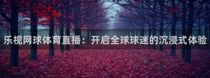 乐视网球体育直播：开启全球球迷的沉浸式体验