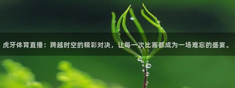 虎牙体育直播：跨越时空的精彩对决，让每一次比赛都成为一场难忘的盛宴。