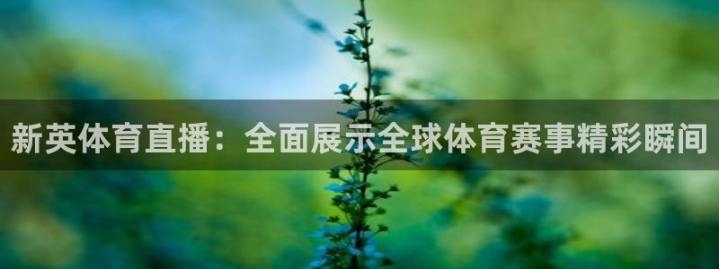 新英体育直播：全面展示全球体育赛事精彩瞬间