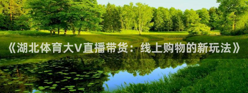 《湖北体育大V直播带货：线上购物的新玩法》