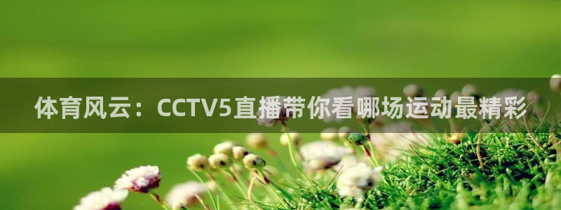 体育风云：CCTV5直播带你看哪场运动最精彩