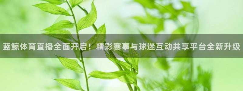 蓝鲸体育直播全面开启！精彩赛事与球迷互动共享平台全新升级