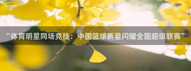 “体育明星同场竞技：中国篮球新星闪耀全国超级联赛”