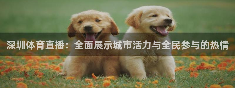 深圳体育直播：全面展示城市活力与全民参与的热情