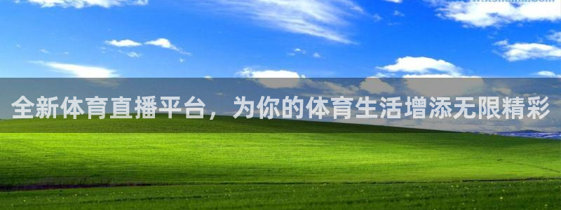 全新体育直播平台，为你的体育生活增添无限精彩
